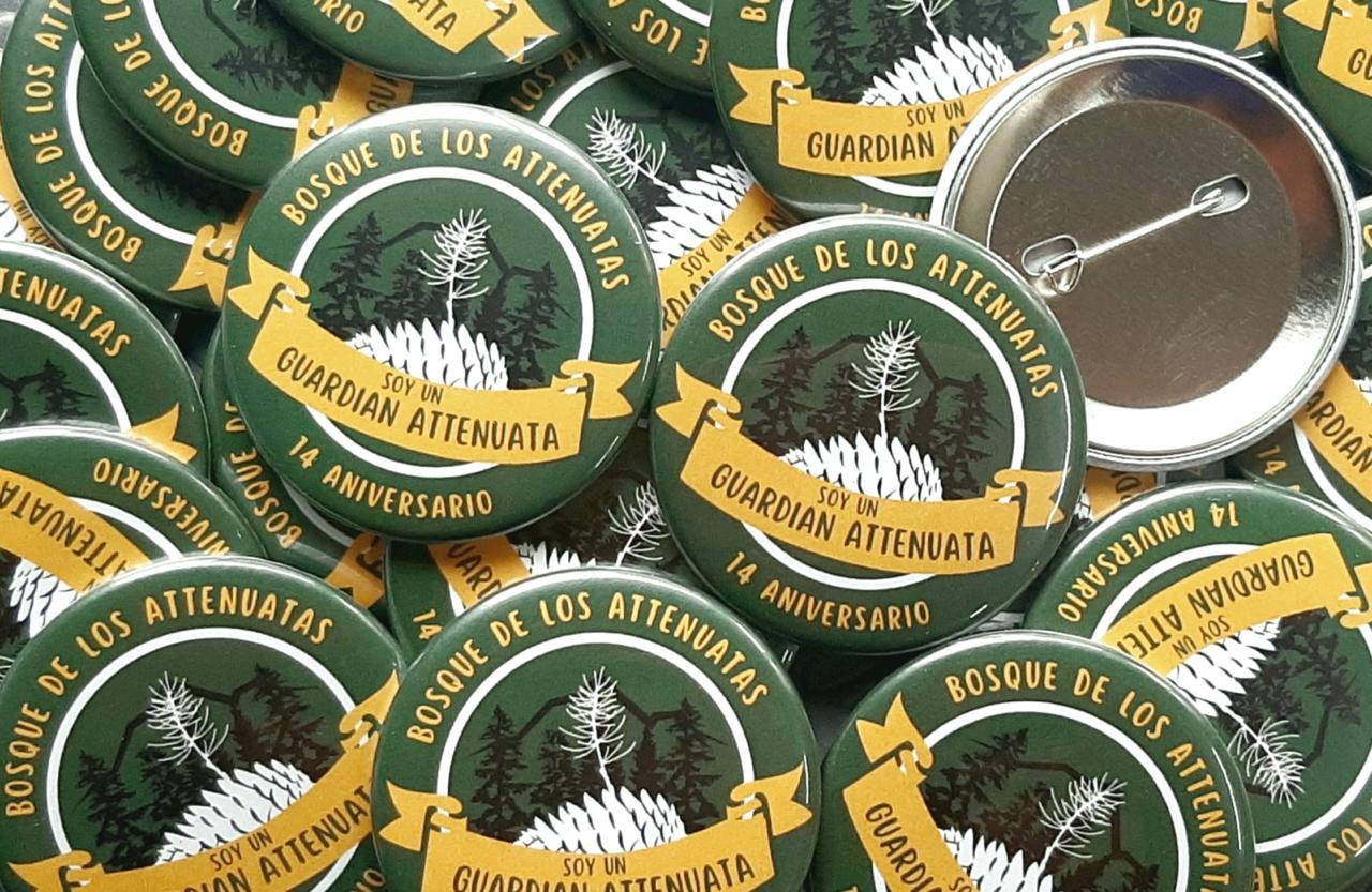 Botones pin — muestra 6